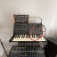 KORG MS-10