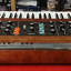 Moog Minimoog Model D Reissue 2022 (RESERVADO)
