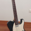 Guitarra eléctrica Samick Greg Benneth Design Telecaster
