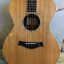 Taylor GC8