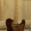 Fender telecaster thinline '69 (MIM)