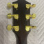 Taylor T5 Custom c1 Electroacústica