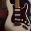 Fender stratocaster Mex