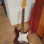 Fender Stratocaster Japan