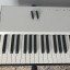 Teclado controlador MIDI studiologic acuna 88