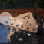 Fender Squier Stratocaster Vint. Mod. 70 envío incl