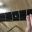 Fender stratocaster MX Richie Sambora (venta/cambio)