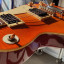 GrassRoots by ESP Les Paul style. O cambio por PRS SE SANTANA/PAUL´S GUITAR