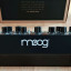 Moog Mother 32