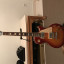 Gibson Les Paul Traditional Plus HCS