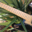 Fender Stratocaster Deluxe