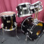 Pearl DLX Profesional Series (Japan)