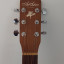 Art & Lutherie CW Cedar Antique Burst QI