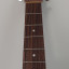 Art & Lutherie CW Cedar Antique Burst QI