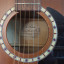 Art & Lutherie CW Cedar Antique Burst QI