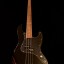 Fender Mark Hoppus Precision Bass