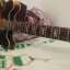Epiphone DOT-DELUXE Flame Hs Limited Edition 2001