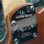 Fender Telecaster American Elite Thinline