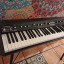 Korg SV-1 Stage Vintage. Piano , Rhodes y mas