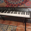 Korg SV-1 Stage Vintage. Piano , Rhodes y mas