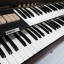 Organo Vintage Omegan 1300, rithmix 100