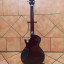 ESP LTD EC-256