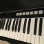 Controlador Irig Keys I/O 49 con funda original Reservado