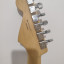 Fender stratocaster series player