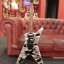 Dean Dimebag ML O Flag