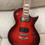 Ltd esp ec 256 modificada