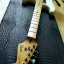 Fender Stratocaster Japon 1984