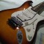 Fender Standard Stratocaster HSS Plus Top RF