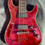 Schecter Hellraiser C-7