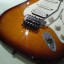 Fender Standard Stratocaster HSS Plus Top RF