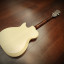 Godin Radiator