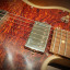 Godin Radiator