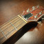 Godin Radiator