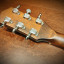 Godin Radiator