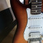 o Cambio: Fender Standard Strato Plus Top (Floyd Rose Tremolo)