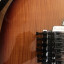 o Cambio: Fender Standard Strato Plus Top (Floyd Rose Tremolo)