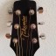 Guitarra Acústica Takamine EG531C
