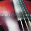 Session Strings Pro 2