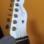 Fender Telecaster Elemental MIJ