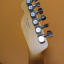 Fender Telecaster Elemental MIJ