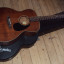 TAKAMINE EF740SGN JAPAN (CAMBIOS)