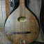 Bouzouki Irish electrificado con estuche rígido ¡¡RESERVADO!!