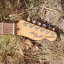 Fender telecaster humbucker