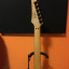 Guitarra Ibanez RG 320 PG Warning