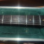 Fender Stratocaster 1964 PreCBS toda original (excepto pastillas y pintura)