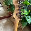 Guitarra Charvel Pro Mod San Dimas Style 1 2H FR B